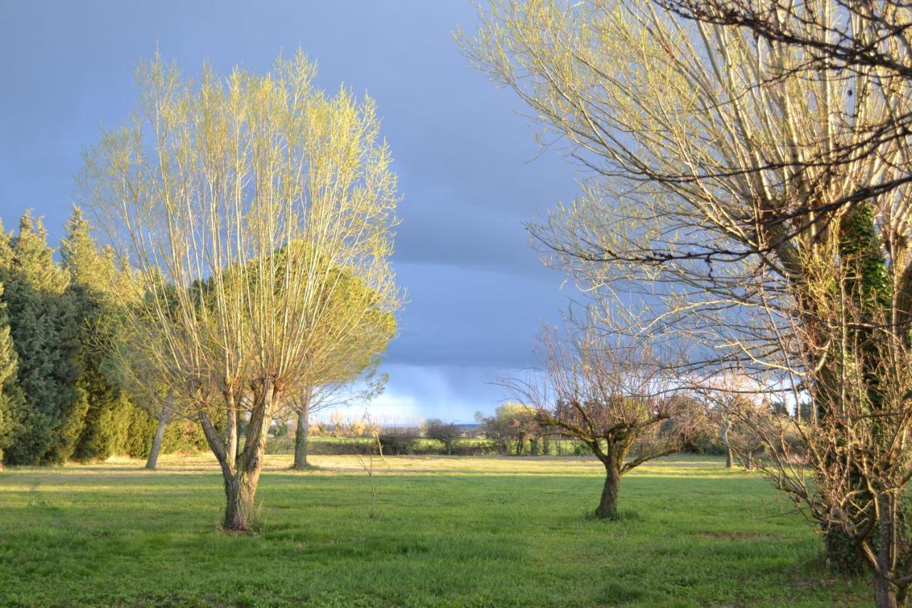 Chambres D Hotes De Charme Dans Mas La Souvine Du 17Eme, Chambres Climatisees Bedarrides Luaran gambar